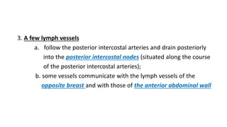 3. A few lymph vessels
a. follow the posterior intercostal arteries and drain posteriorly
into the posterior intercostal nodes (situated along the course
of the posterior intercostal arteries);
b. some vessels communicate with the lymph vessels of the
opposite breast and with those of the anterior abdominal wall
 