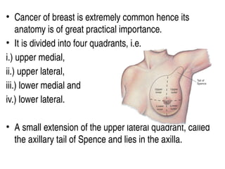 • Cancer of breast is extremely common hence its
anatomy is of great practical importance.
• It is divided into four quadrants, i.e.
i.) upper medial,
ii.) upper lateral,
iii.) lower medial and
iv.) lower lateral.
• A small extension of the upper lateral quadrant, called
the axillary tail of Spence and lies in the axilla.
 
