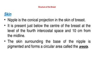 Structure of the Breast
Skin
• Nipple is the conical projection in the skin of breast.
• It is present just below the centre of the breast at the
level of the fourth intercostal space and 10 cm from
the midline.
• The skin surrounding the base of the nipple is
pigmented and forms a circular area called the areola.
 