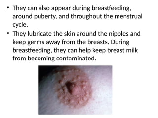 • They can also appear during breastfeeding,
around puberty, and throughout the menstrual
cycle.
• They lubricate the skin around the nipples and
keep germs away from the breasts. During
breastfeeding, they can help keep breast milk
from becoming contaminated.
 