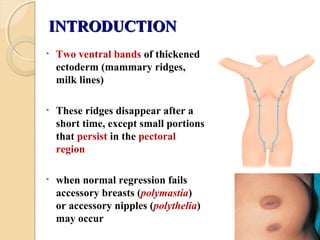 INTRODUCTIONINTRODUCTION
• Two ventral bands of thickened
ectoderm (mammary ridges,
milk lines)
• These ridges disappear after a
short time, except small portions
that persist in the pectoral
region
• when normal regression fails
accessory breasts (polymastia)
or accessory nipples (polythelia)
may occur
 