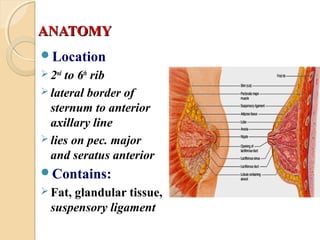 ANATOMYANATOMY
Location
 2nd
to 6th
rib
 lateral border of
sternum to anterior
axillary line
 lies on pec. major
and seratus anterior
Contains:
 Fat, glandular tissue,
suspensory ligament
 