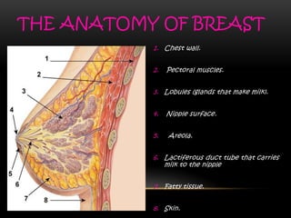 1. Chest wall.
2. Pectoral muscles.
3. Lobules (glands that make milk).
4. Nipple surface.
5. Areola.
6. Lactiferous duct tube that carries
milk to the nipple
7. Fatty tissue.
8. Skin.
THE ANATOMY OF BREAST
 