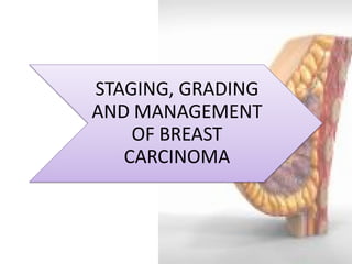 STAGING, GRADING AND MANAGEMENT OF BREAST CARCINOMA  
