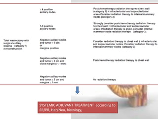 SYSTEMIC ADJUVANT TREATMENT according to ER/PR, Her/Neu, histology,  