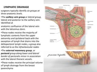 LYMPHATIC DRAINAGE 
surgeons typically identify six groups at three anatomic levels. 
•The axillary vein group or lateral group, lateral and posterior to the axillary vein. Identified at 
anatomic confluence of the lateral vein with the latissimus dorsi. 
•These nodes receive the majority of lymphatic contents from the upper extremity and ipsilateral back with the exception of lymph that drains into the deltopectoral lymph nodes, a group also referred to as the infraclavicular nodes 
•The external mammary group, or pectoral group along lower and lateral border of pectoralis minor in association with the lateral thoracic vessels. 
•These nodes receive the principal volume of lymph drainage from the breast parenchyma praveen tripathi 
 