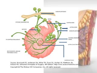 SUBAREOLAR PLEXUS 
LATERAL COLLECTING ROUTE 
EXTERNAL MAMMARY NODES 
SUBSCAPULAR NODE 
LATERAL NODE 
CENTRAL NODE 
SUBCAPULAR NODES 
APICAL 
SYSTEMIC DISSEMINATION 
ROTTER’S 
TO CONTRALATERAL BREAST 
RECTUS SHEATH AND SUB PERITONEAL PLEXUS  