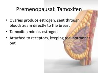 Premenopausal: Tamoxifen 
•Ovaries produce estrogen, sent through bloodstream directly to the breast 
•Tamoxifen mimics estrogen 
•Attached to receptors, keeping real hormones out  