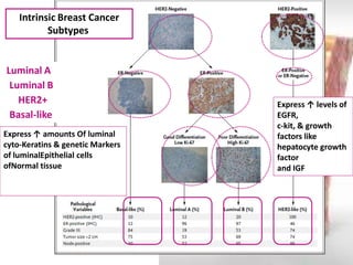 Luminal A 
Luminal B 
HER2+ 
Basal-like 
Intrinsic Breast Cancer 
Subtypes 
Express ↑ amounts Of luminal cyto-Keratins & genetic Markers of luminalEpithelial cells ofNormal tissue 
Express ↑ levels of EGFR, 
c-kit, & growth factors like 
hepatocyte growth factor 
and IGF  