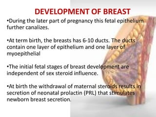 •During the later part of pregnancy this fetal epithelium further canalizes. 
•At term birth, the breasts has 6-10 ducts. The ducts contain one layer of epithelium and one layer of myoepithelial 
•The initial fetal stages of breast development are independent of sex steroid influence. 
•At birth the withdrawal of maternal steroids results in secretion of neonatal prolactin (PRL) that stimulates newborn breast secretion. 
DEVELOPMENT OF BREAST  