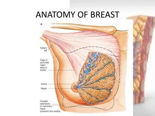 ANATOMY OF BREAST  