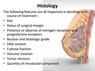 Histology 
The following features are all important in deciding on a course of treatment : 
•Size 
•Status of surgical margin 
•Presence or absence of estrogen receptors and progesterone receptors 
•Nuclear and histologic grade 
•DNA content 
•S-phase fraction 
•Vascular invasion 
•Tumor necrosis 
•Quantity of intraductal component  