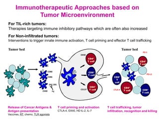 Immunotherapy for Metastatic Triple Negative Breast Cancer | PDF
