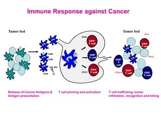 Immunotherapy for Metastatic Triple Negative Breast Cancer | PDF
