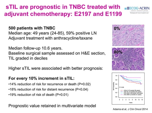 Immunotherapy For Metastatic Triple Negative Breast Cancer Pdf