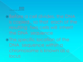  Before  a cell divides, the DNA
  is copied , so that each of the
  resulting two cells will inherit
  the DNA sequence
 The specific location of the
  DNA sequence within a
  chromosome is known as a
  locus
 