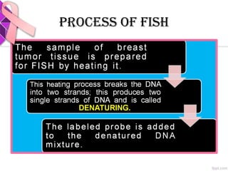 PROCESS OF FISH
 