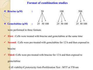  Brucine (μM) : 50 100 300
 Gemcitabine (μM) : 25 50 100 25 50 100 25 50 100
were performed in three formats
 First : Cells were treated with brucine and gemcitabine at the same time
 Second: Cells were pre-treated with gemcitabine for 12 h and then exposed to
brucine
 Third: Cells were pre-treated with brucine for 12 h and then exposed to
gemcitabine
Cell viability/Cytotoxicity/Anti-Proliferation Test : MTT at 570 nm
Format of combination studies
 
