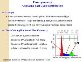  One of the applications of Flow Cytometry
• DNA & Cell cycle distribution
• 2n amount DNA (diploid) - G1 phase
• 4n amount DNA (tetraploid) - G2 phase
• In between 2n and 4n amount - S phase
 Principle
• Flow cytometry involves the analysis of the fluorescence and light
scatter properties of single particles (e.g. cells, nuclei, chromosomes)
during their passage with in a narrow, precisely defined liquid stream
Flow cytometry
Analyzing Cell Cycle Distribution
Excitation maximum 493nm; Emission maximum 636nm
G1
S
G2/M
 