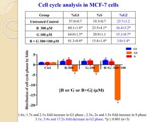 Cell cycle analysis in MCF-7 cells
1.6x; 1.7x and 2.1x fold increase in G1 phase ; 2.3x; 2x and 1.5x fold increase in S phase
3.1x; 3.4x and 17.2x fold decrease in G2 phase. *p ≤ 0.001 (n=3)
Group %G1 %S %G2
Untreated Control 57.0±0.7 19.3±0.7 23.7±1.2
B 300 µM 60.1±1.8* 23.5±4.1* 16.4±3.2*
G 100 µM 64.0±1.5* 20.9±1.1 15.1±0.7*
B + G 300+100 µM 81.3±0.8* 15.8±1.4* 3.0±1.4*
 