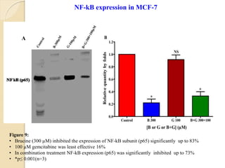 Figure 9:
• Brucine (300 µM) inhibited the expression of NF-kB subunit (p65) significantly up to 83%
• 100 µM gemcitabine was least effective 16%
• In combination treatment NF-kB expression (p65) was significantly inhibited up to 73%
• *p≤ 0.001(n=3)
NF-kB expression in MCF-7
A
 