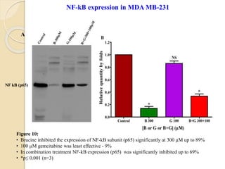 Figure 10:
• Brucine inhibited the expression of NF-kB subunit (p65) significantly at 300 µM up to 89%
• 100 µM gemcitabine was least effective - 9%
• In combination treatment NF-kB expression (p65) was significantly inhibited up to 69%
• *p≤ 0.001 (n=3)
NF-kB expression in MDA MB-231
NF kB (p65)
A
 