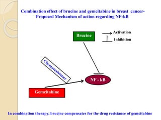 Combination effect of brucine and gemcitabine in breast cancer-
Proposed Mechanism of action regarding NF-kB
In combination therapy, brucine compensates for the drug resistance of gemcitabine
Brucine
NF - kB
Gemcitabine
Activation
Inhibition
 