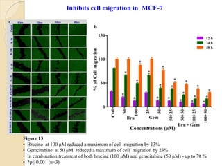 Figure 13:
• Brucine at 100 µM reduced a maximum of cell migration by 13%
• Gemcitabine at 50 µM reduced a maximum of cell migration by 23%
• In combination treatment of both brucine (100 µM) and gemcitabine (50 µM) - up to 70 %
• *p≤ 0.001 (n=3)
Inhibits cell migration in MCF-7
b
 