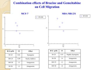 Combination effects of Brucine and Gemcitabine
on Cell Migration
B+G (µM) CI Effect
50+25 0.81 Synergistic
100+25 0.99 Nearly Additive
100+50 1.5 Antagonistic
50+50 1.3 Antagonistic
B+G (µM) CI Effect
50+25 0.91 Slightly Synergistic
50+50 1.4 Antagonistic
100+25 1.2 Antagonistic
100+50 1.8 Antagonistic
MCF-7 MDA MB-231
 