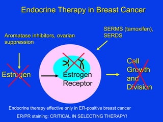 Endocrine Therapy in Breast Cancer
Estrogen
Cell
Growth
and
Division
Estrogen
Receptor
SERMS (tamoxifen),
SERDSAromatase inhibitors, ovarian
suppression
Endocrine therapy effective only in ER-positive breast cancer
ER/PR staining: CRITICAL IN SELECTING THERAPY!
 