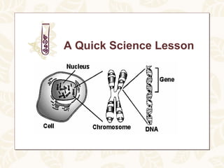 A Quick Science Lesson
 