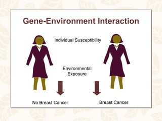 Gene-Environment Interaction

           Individual Susceptibility




               Environmental
                 Exposure




  No Breast Cancer                 Breast Cancer
 