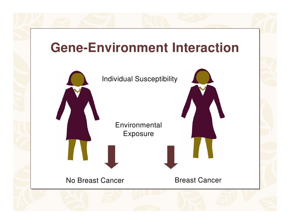 Breastcancer Genes Ppt Breastcancer Genes Ppt