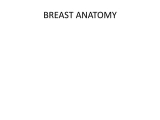 BREAST ANATOMY
 