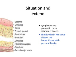 Situation and
extend
• Lymphatics are
present in retro
mammary space.
• That is why in MRM we
dissect the
breast tissue with
pectoral fascia.
 