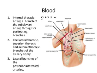 Blood
supply
1. Internal thoracic
artery, a branch of
the subclavian
artery, through its
perforating
branches.
2. The lateral thoracic,
superior thoracic
and acromiothoracic
branches of the
axillary artery.
3. Lateral branches of
the
posterior intercostal
arteries.
 