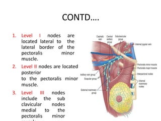CONTD….
1. Level I nodes are
located lateral to the
lateral border of the
pectoralis minor
muscle.
2. Level II nodes are located
posterior
to the pectoralis minor
muscle.
3. Level III nodes
include the sub
clavicular nodes
medial to the
pectoralis minor
 