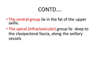 CONTD….
• The central group lie in the fat of the upper
axilla.
• The apical (infraclaaicular) group lie deep to
the clavipectoral fascia, along the axillary
vessels
 