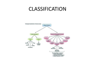 CLASSIFICATION
 