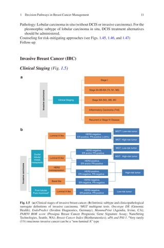 11
Invasive
carcinoma
Clinical Staging
Stage I
Stage IIA-IIB-IIIA (T3, N1, M0)
Stage IIIA (N2), IIIB, IIIC
Inflammatory Ca...