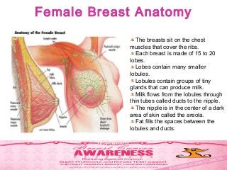 Female Breast Anatomy
• The breasts sit on the chest muscles that
cover the ribs.
• Each breast is made of 15 to 20 lobes.
• Lobes contain many smaller lobules.
• Lobules contain groups of tiny glands that
can produce milk.
• Milk flows from the lobules through thin
tubes called ducts to the nipple.
• The nipple is in the center of a dark area of
skin called the areola.
• Fat fills the spaces between the lobules
and ducts.
The breasts sit on the chest
muscles that cover the ribs.
Each breast is made of 15 to 20
lobes.
Lobes contain many smaller
lobules.
Lobules contain groups of tiny
glands that can produce milk.
Milk flows from the lobules through
thin tubes called ducts to the nipple.
The nipple is in the center of a dark
area of skin called the areola.
Fat fills the spaces between the
lobules and ducts.
 