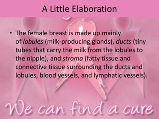 A Little Elaboration
• The female breast is made up mainly
of lobules (milk-producing glands), ducts (tiny
tubes that carry the milk from the lobules to
the nipple), and stroma (fatty tissue and
connective tissue surrounding the ducts and
lobules, blood vessels, and lymphatic vessels).
 