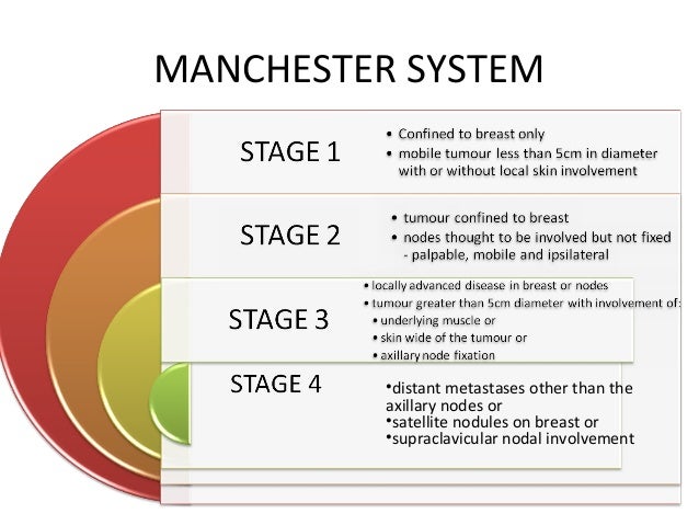 Linda M Barney M D Wright State University Ppt Video Online Download