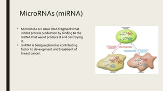 MicroRNAs (miRNA)
• MicroRNAs are small RNA fragments that
inhibit protein production by binding to the
mRNA that would produce it and destroying
it.
• miRNA is being explored as contributing
factor to development and treatment of
breast cancer.
 