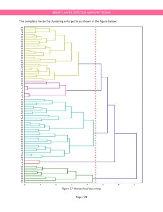 Page | 28
BREAST CANCER DETECTION USING PROTEOMES
The complete hierarchy clustering enlarged is as shown in the figure below:
Figure 27: Hierarchical clustering.
 