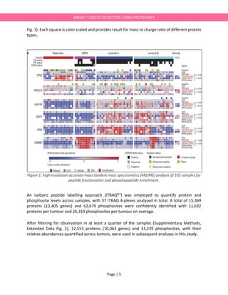 Page | 5
BREAST CANCER DETECTION USING PROTEOMES
Fig. 1). Each square is color scaled and provides result for mass to charge ratio of different protein
types.
Figure 1: high-resolution accurate-mass tandem mass spectrometry (MS/MS) analysis of 105 samples for
peptide fractionation and phosphopeptide enrichment.
An isobaric peptide labelling approach (iTRAQN1) was employed to quantify protein and
phosphosite levels across samples, with 37 iTRAQ 4-plexes analysed in total. A total of 15,369
proteins (12,405 genes) and 62,679 phosphosites were confidently identified with 11,632
proteins per tumour and 26,310 phosphosites per tumour on average.
After filtering for observation in at least a quarter of the samples (Supplementary Methods,
Extended Data Fig. 2), 12,553 proteins (10,062 genes) and 33,239 phosphosites, with their
relative abundances quantified across tumors, were used in subsequent analyses in this study.
 