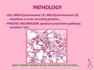 PATHOLOGY
-p53, BRCA1(chromosome 17), BRCA2(chromosome 13)
mutations in error-correcting proteins
-PI3K/AKT, RAS/MEK/ERK a...