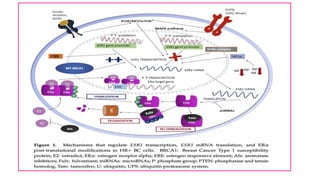 Breast cancer :Receptor (ER/PR/HER2 NEU) Discordance.pptx