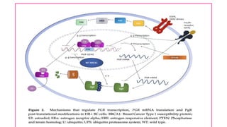 Breast cancer :Receptor (ER/PR/HER2 NEU) Discordance.pptx