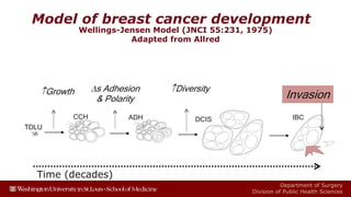 Breast Cancer Lifecourse & Prevention.pdf
